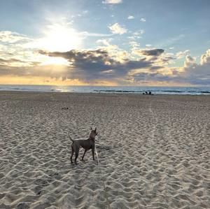 Meet your Posher, Nick